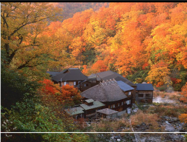 �铒��������